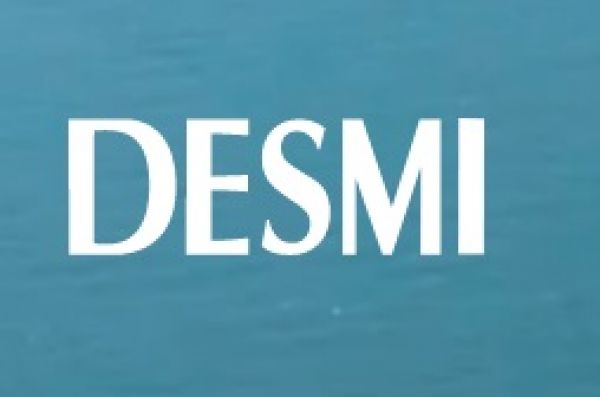 Головка скиммера DESMI MINI MAX