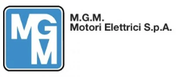 Двигатель BAD 90 LB 2/4